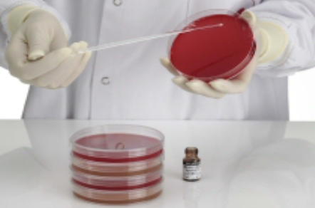 Screenshot 2025-04-15 134308