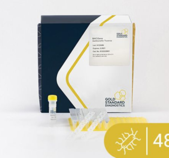 Untitled design (11)