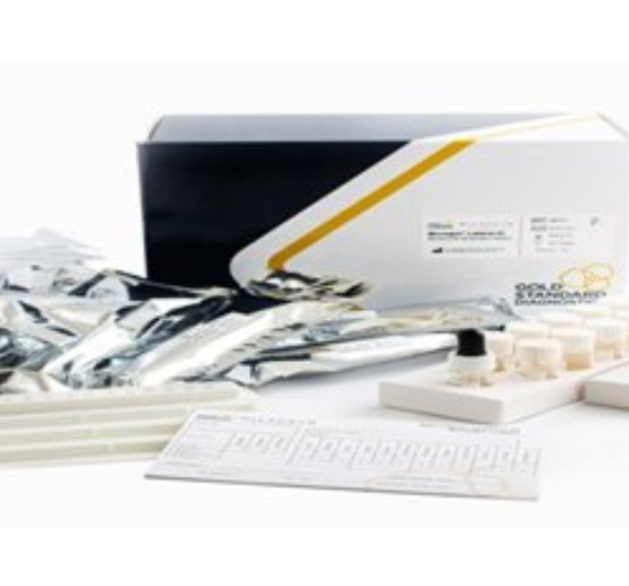 Untitled design (17)